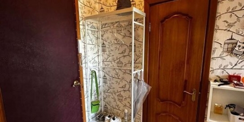 1-комн квартира Грузинская М. ул,  д. 38