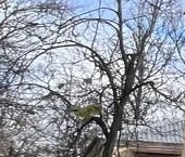 Продать Квартиры вторичка Апрелевка, улица Февральская, 41   