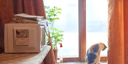 4-комн квартира улица Жуковского, 5