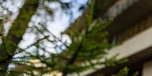 Коттедж/дом пос. Лисий Нос, Приморское шоссе, 26А