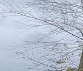 Продать Квартиры вторичка Электросталь, проспект Ленина, 04к2   