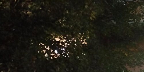 2-комн квартира улица Партизана Германа, 24