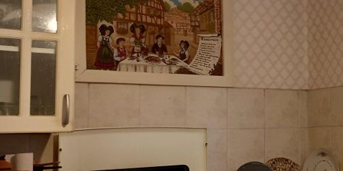 2-комн квартира Пушкин, Московское шоссе, 15