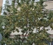 Продать Квартиры вторичка улица Борисовские Пруды, 15К2   