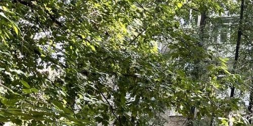 Комната улица Черняховского, 15К2