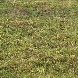 Продажа земли д. Жабино, улица Веселая Продажа земли д. Жабино, улица Веселая