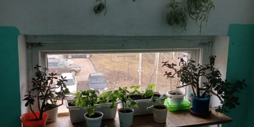 1-комн квартира Толмачево пос., Толмачева пер.,  д. 3