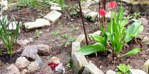 Коттедж/дом пос. Лисий Нос, Высокая улица