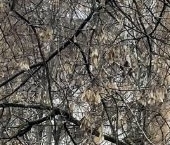 Сдать в аренду Квартиры вторичка 2-я Парковая улица, 28   