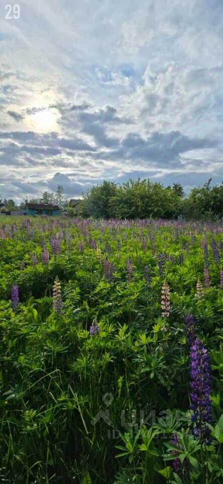 Продажа земли Павловск, Славяночка-2 СНТ, 370