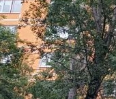 Продать Квартиры вторичка Бирюлевская улица, 18К2   