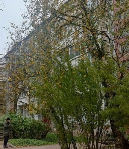 2-комн квартира д. Лампово, Совхозная улица, 10