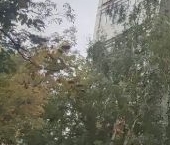 Продать Квартиры вторичка Волочаевская улица, 8   