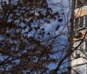 Продать Квартиры вторичка Люберцы, улица Побратимов, 11   