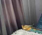 Сдать в аренду Квартиры вторичка с. Ям, улица Мезенцева, 5   