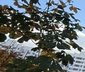 Продать Квартиры вторичка Реутов, Молодежная улица, 4   