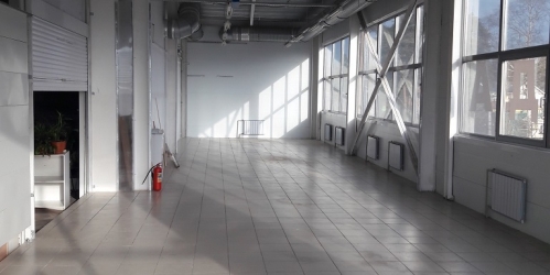 Торговое помещение Лисий Нос п, Центральная ул ,  д. 2