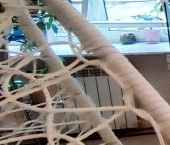 Продать Квартиры вторичка Большая Подьяческая улица, 22   