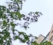 Продать Квартиры вторичка Дегтярный переулок, 11/2   