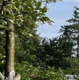 Продажа дома Львовские Лужки СНТ, улица Отрадненская, 34