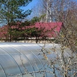 Продажа дома Мяглово-Карьер садоводческий массив, Север СНТ, 30-я линия, 1077,  д. 1077