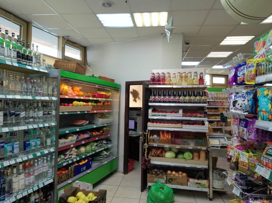 Аренда ПСН Светланова ул