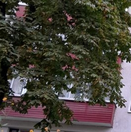 Аренда 2-комн квартиры на вторичном рынке проезд Досфлота, 8К1