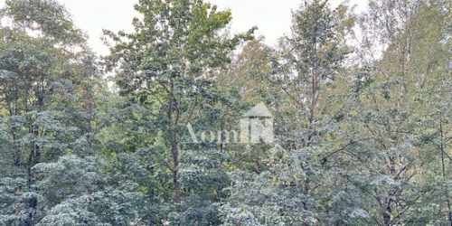 1-комн квартира улица Бутлерова,  д. 8