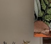 Продать Квартиры вторичка улица Рубинштейна, 29/28   