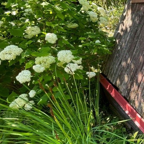 Земельный участок пос. Репино, Железнодорожная улица, 7а