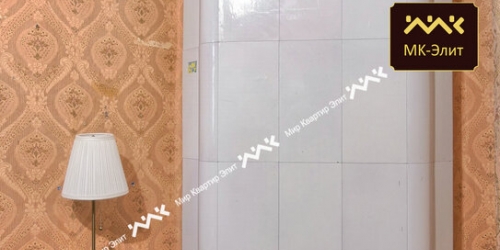 4-комн квартира ул Мира,  д. 10