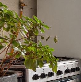 Продажа 1-комн квартиры на вторичном рынке улица Генерала Симоняка, 8К2