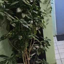 Продажа 3-комн квартиры на вторичном рынке 1 Мая мкр, Балашиха, 25