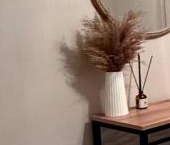 Сдать в аренду Квартиры вторичка Отрадное, Советская улица, 18   