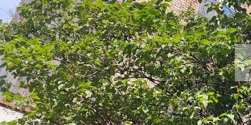 2-комн квартира 3-й Новомихалковский проезд, 7