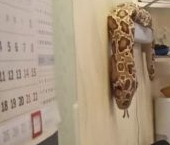 Продать Квартиры вторичка Реутов, улица Октября, 44   