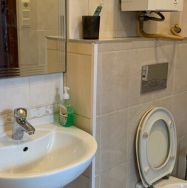 Аренда 1-комн квартиры на вторичном рынке Владимирский пр-кт,  д. 3