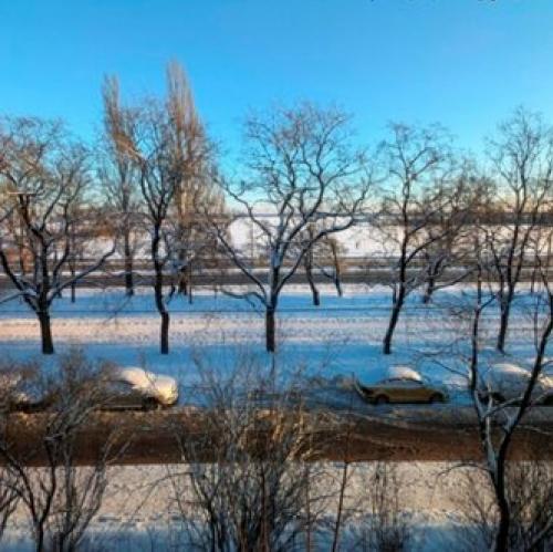 2-комн квартира Приморское шоссе,  д. 310