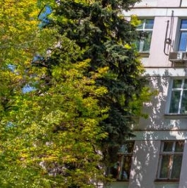 Продажа студии Сиреневый бульвар, 15