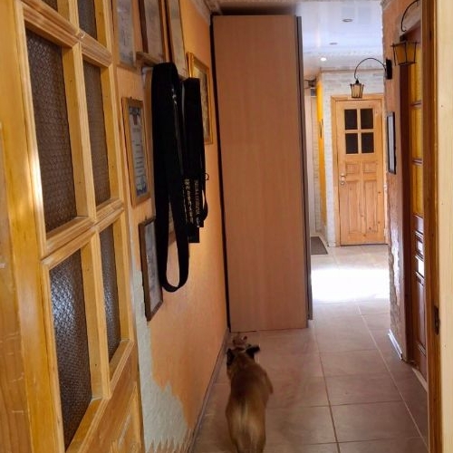 4-комн квартира проспект Косыгина, 30К3