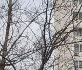 Продать Квартиры вторичка улица Малышева, 13К3   