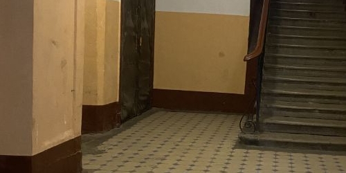 5-комн квартира проспект Большой Петроградской стороны, 31