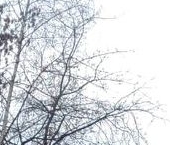 Продать Квартиры вторичка Королев, улица Горького  1 