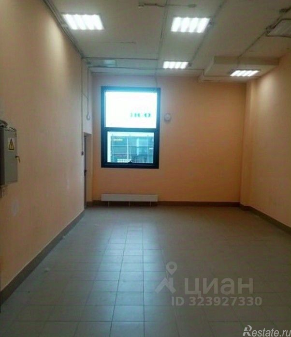 Аренда ПСН Заневский пр-кт,  д. 65 к1