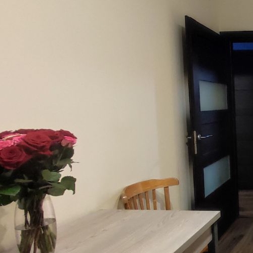 1-комн квартира Кондратьевский проспект, 68к4