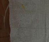 Сдать в аренду Квартиры вторичка пос. Янино-1, улица Рембрандта, 4   