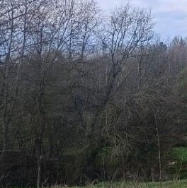 Продажа дома д. Крюково, улица Центральная