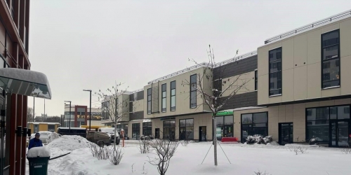 Помещение свободного назначения Заневский пр-кт,  д. 65