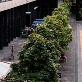 Продажа 3-комн квартиры на вторичном рынке улица Усачева, 15А