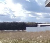 Продать Дачи, коттеджи, загородные дома д. Манушкино, улица Родниковая, 6   